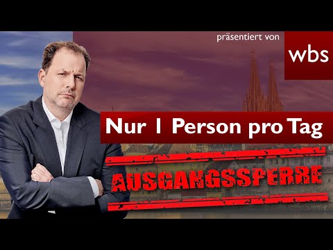 Vorschaubild Prof. Plausibel